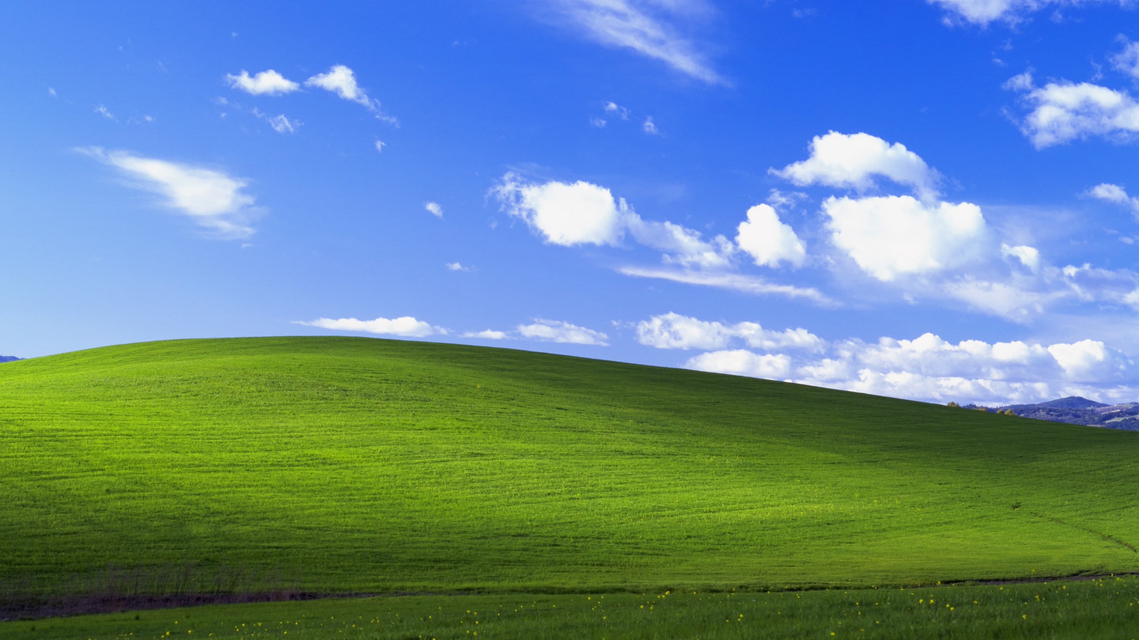 windows xp wall